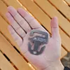 10Pcs Tent Tarp Anchor Buckle Anchor Awning Fastener for Camping Tent Canopy