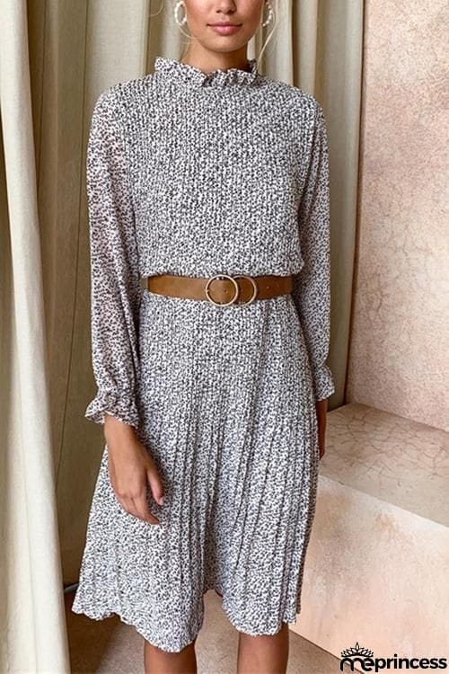 Print Pleated Long Sleeve Dress