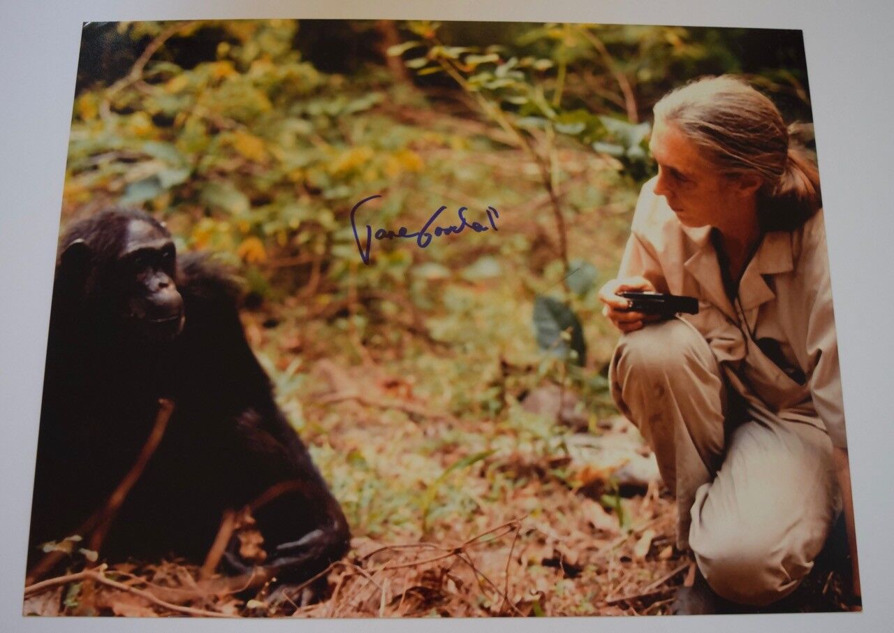 Jane Goodall Signed Autographed 11x14 Photo Poster painting Primatologist COA VD