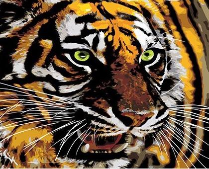 

Tiger With Green Eyes – Paint By Numbers - 40*50CM, 501 Original