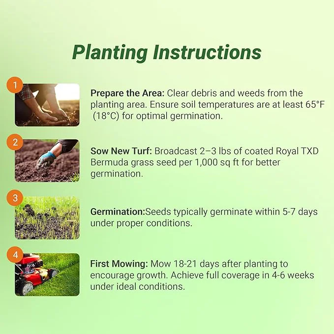 Royal TXD Bermuda Grass Seed