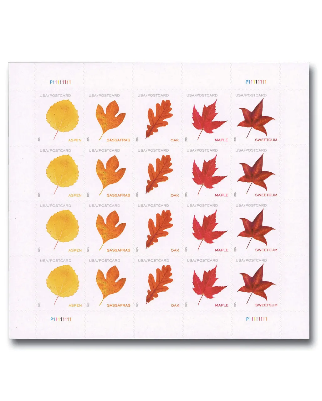 2025 Forever Postcard Rate - Vibrant Leaves (from sheet)