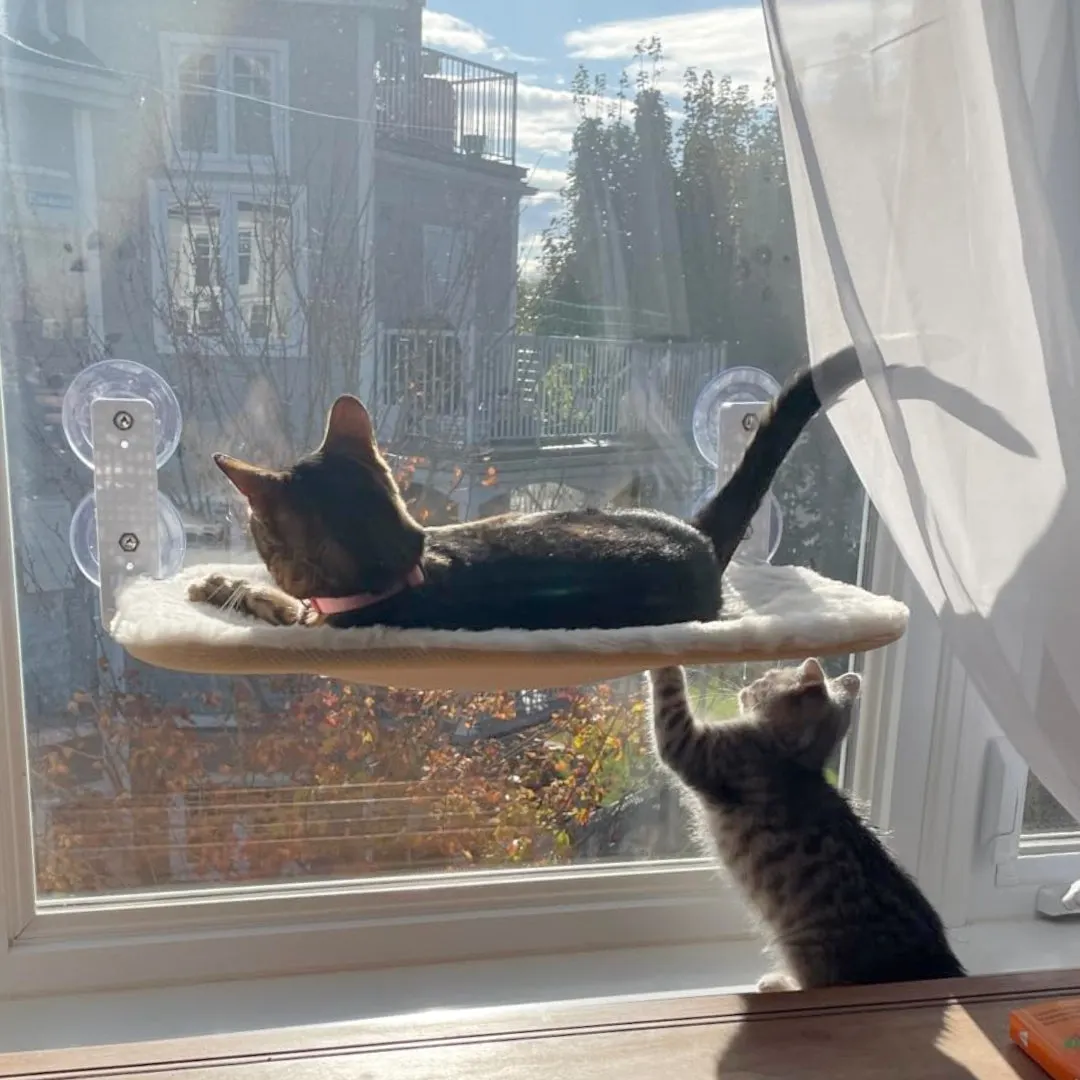 Nymock&trade; Foldable Cat Hammock