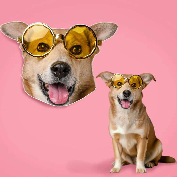 Custom Big Head with Photo,Custom Pet Big Head Face Cutout,Custom Face Fans Cardboard Cutout,Personalized Big Head with Photo
