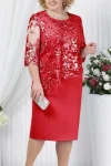 Plus Size Formal Solid Half Sleeve Lace Midi Dress