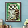 Diamond Painting-DIY Full Round Drill Owl