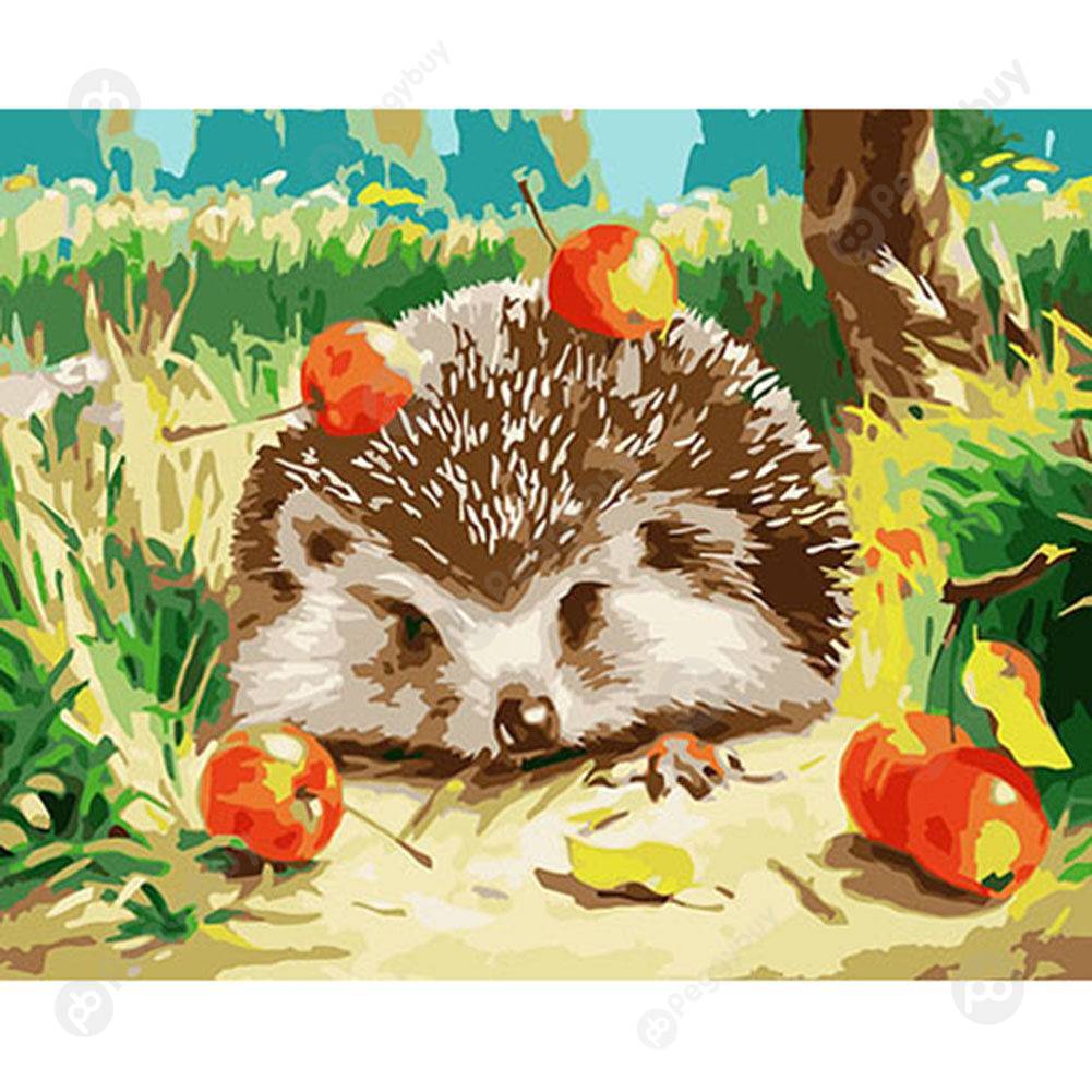 

40*50CM Paint By Numbers-Hedgehog, 501 Original