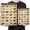 Breeds Of Cattle - Metal Tin Signs(8*12Inch/12*16Inch) - Animal
