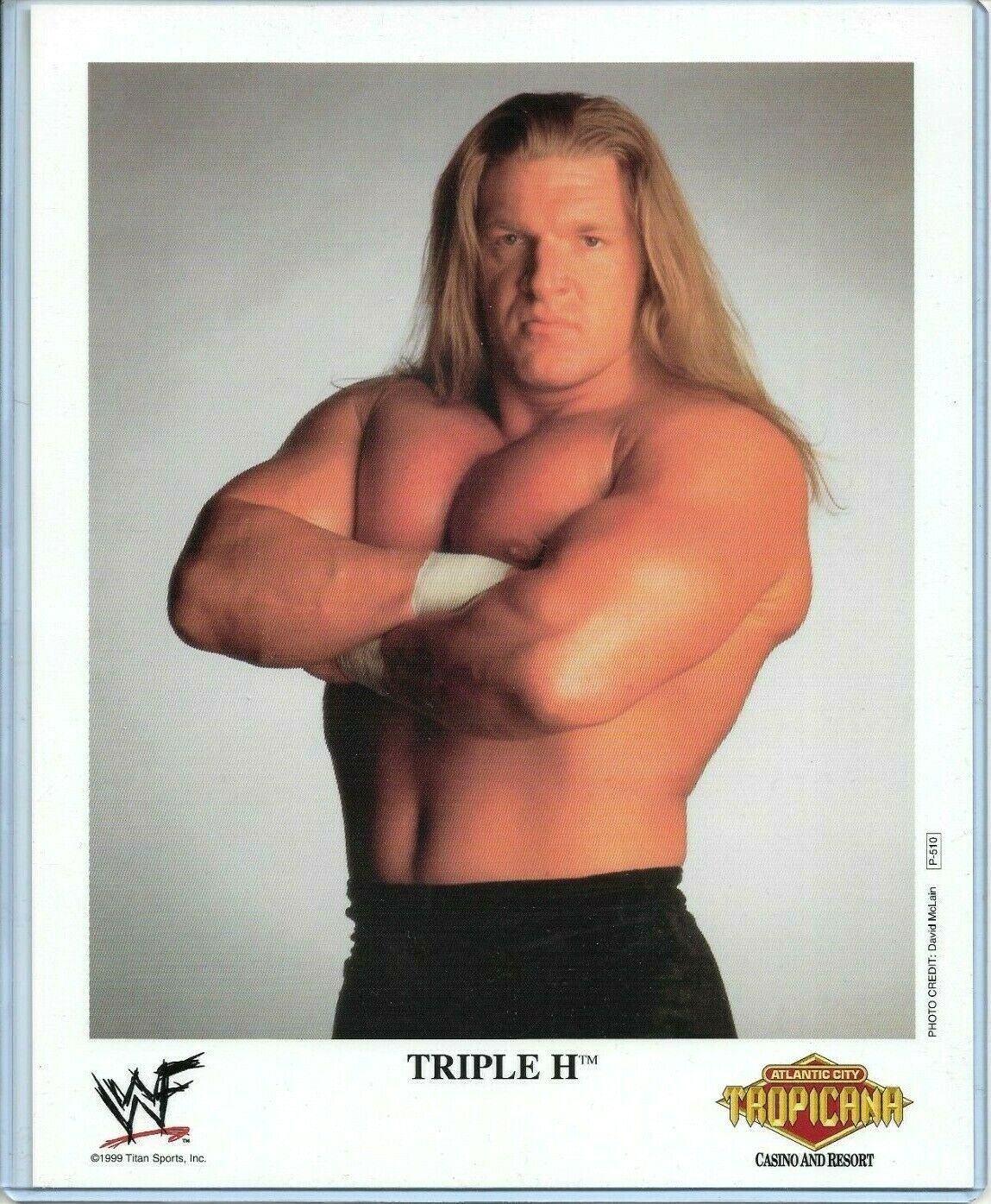 WWE TRIPLE H P-510 OFFICIAL LICENSED AUTHENTIC ORIGINAL 8X10 PROMO Photo Poster painting RARE