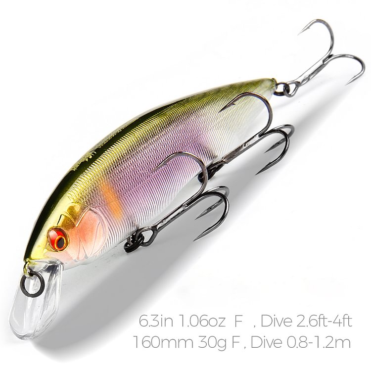 Bearking Artificial Bait Minnow Crank Tungsten Weight System 160mm 30g