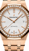 Rose Gold 904L Steel Silver White Dial - Watches - 37mm