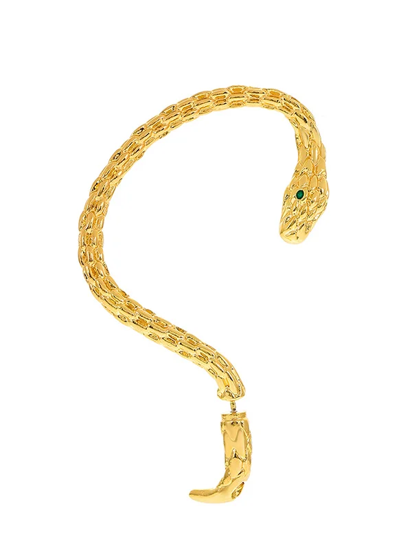 Snake Shape Earhook Earrings