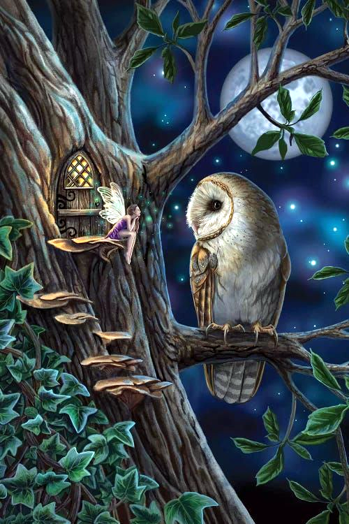  Owl And Elf 40*60CM (Canvas)AB Round Drill Diamond Painting gbfke