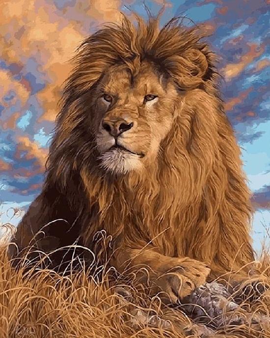 

Magnificent Lion – Paint By Numbers - 40*50CM, 501 Original
