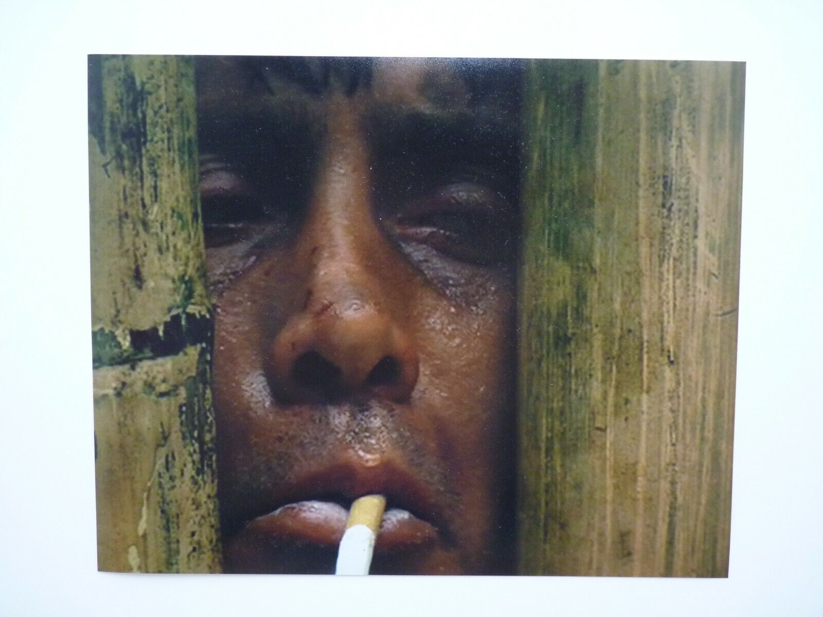 Martin Sheen 8x10 Apocalypse Now Movie Color Picture Photo Poster painting