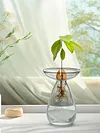 Avocado Seed Starter Vase Transparent Glass Avocado Tree Flower Vase for Balcony