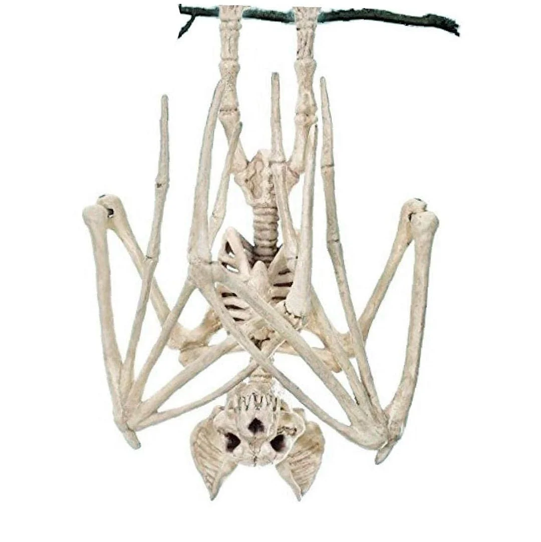 1 Pc Horrible Halloween Fledermaus Skelett Simulation Fledermaus Skelett Lebensechte Fledermaus Knochen 