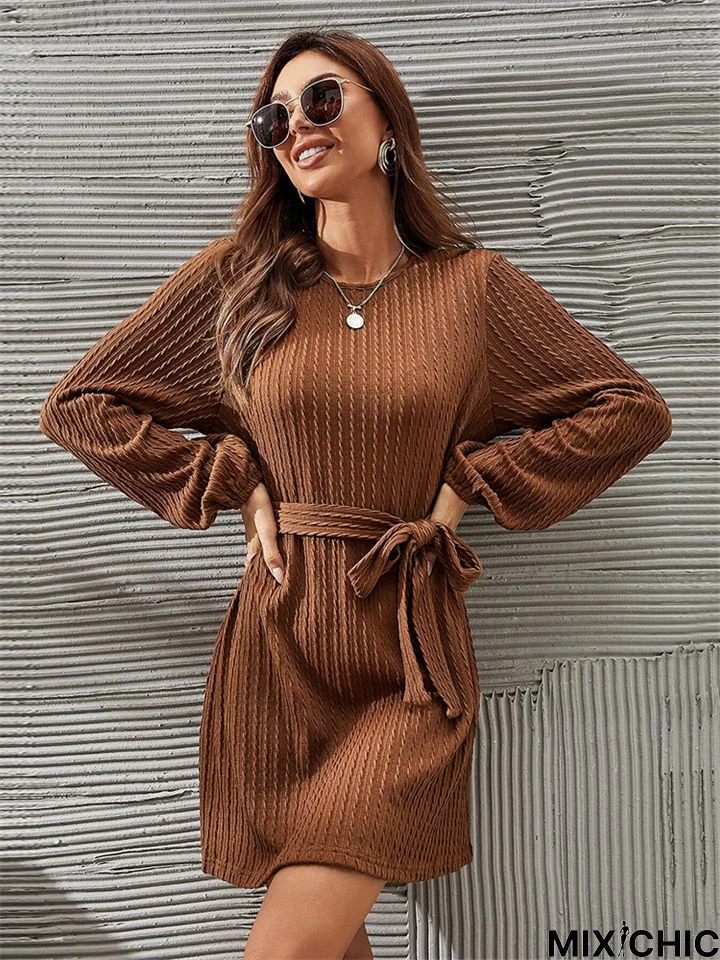Long Sleeve Round Neck Casual Bubble Sleeve Dress
