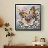 5D DIY Partial Special Shaped Drill Diamond Painting Kit Butterfly Decor 30x30cm (A)