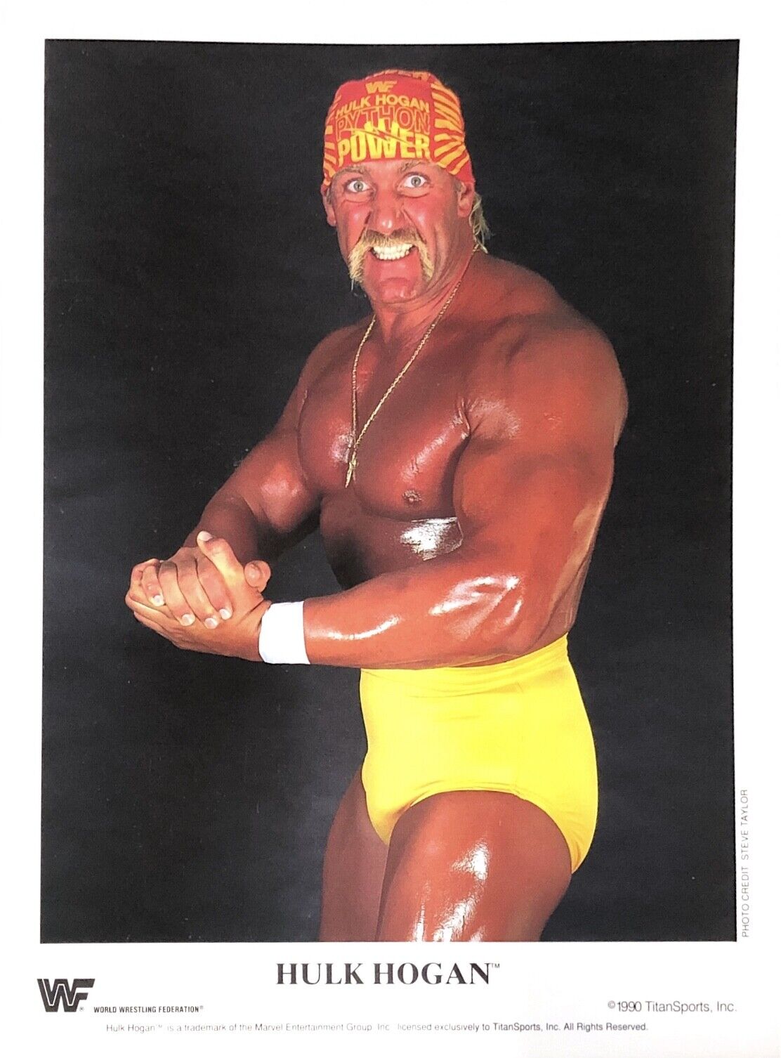 WWE HULK HOGAN 1990 OFFICIAL LICENSED 8.5X11 ORIGINAL PROMO Photo Poster painting VERY RARE