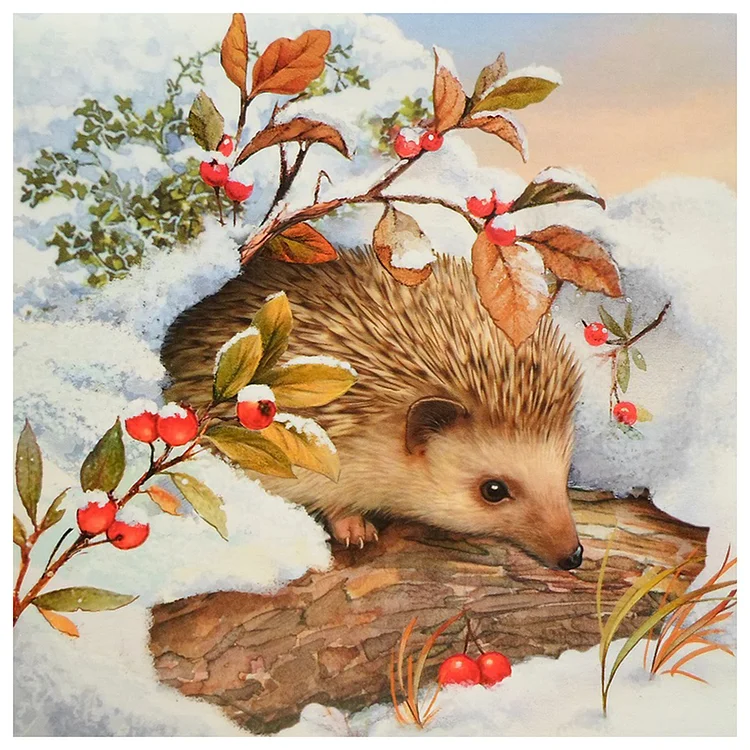 Snow Hedgehog  Full Round Diamond Painting 30*30cm