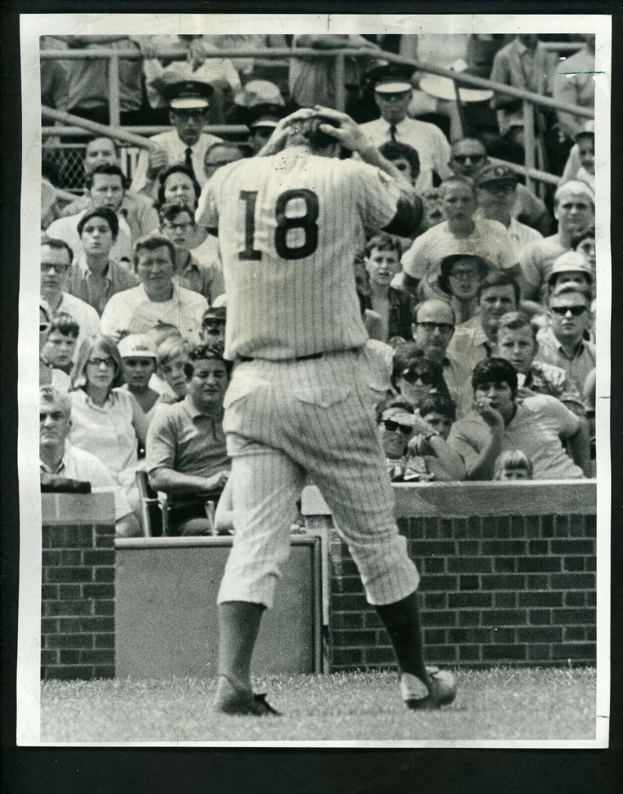 Glenn Beckert BEANED 1969 Type 1 Press Photo Poster painting Chicago Cubs