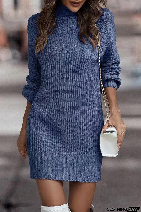 Rieuh Turtleneck Long Sleeve Knitted Mini Dress