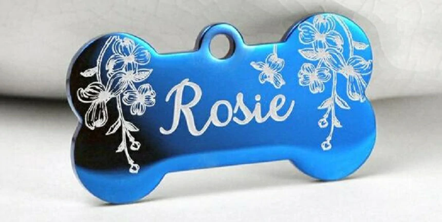 Custom Dog Tags that alert first responders to your dog's needs