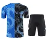 2025/2026 Real Madrid Pre-Match Training Black Blue Shirt+Shorts 1:1 Thai Quality