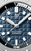 DIVER Blue Dial 42mm