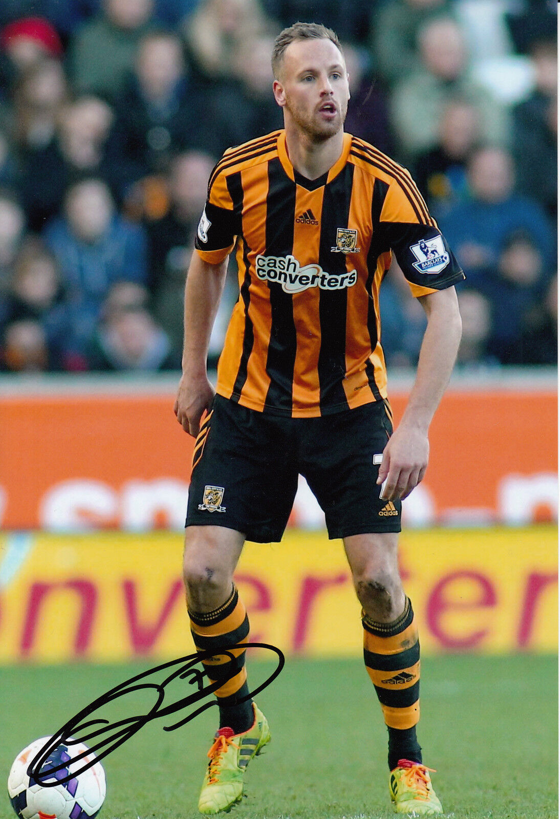 Hull City Hand Signed David Meyler 12x8 Photo Poster painting 4.