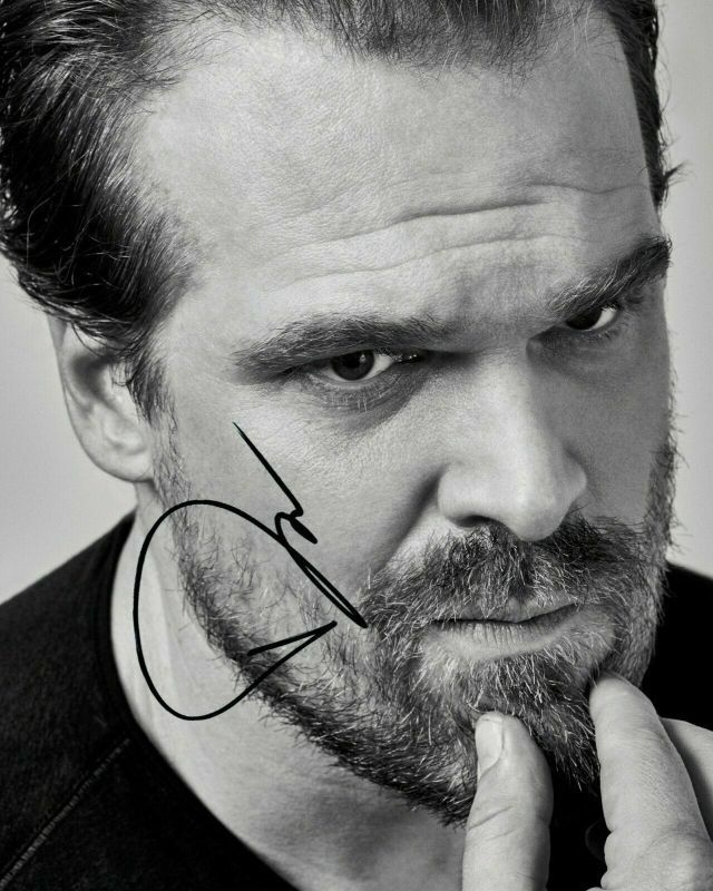 David Harbour Autograph Signed Photo Poster painting Print