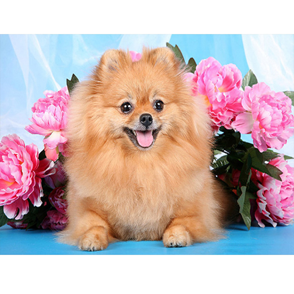 

Flower Dog - Square Drill Diamond Painting - 50*40CM, 501 Original