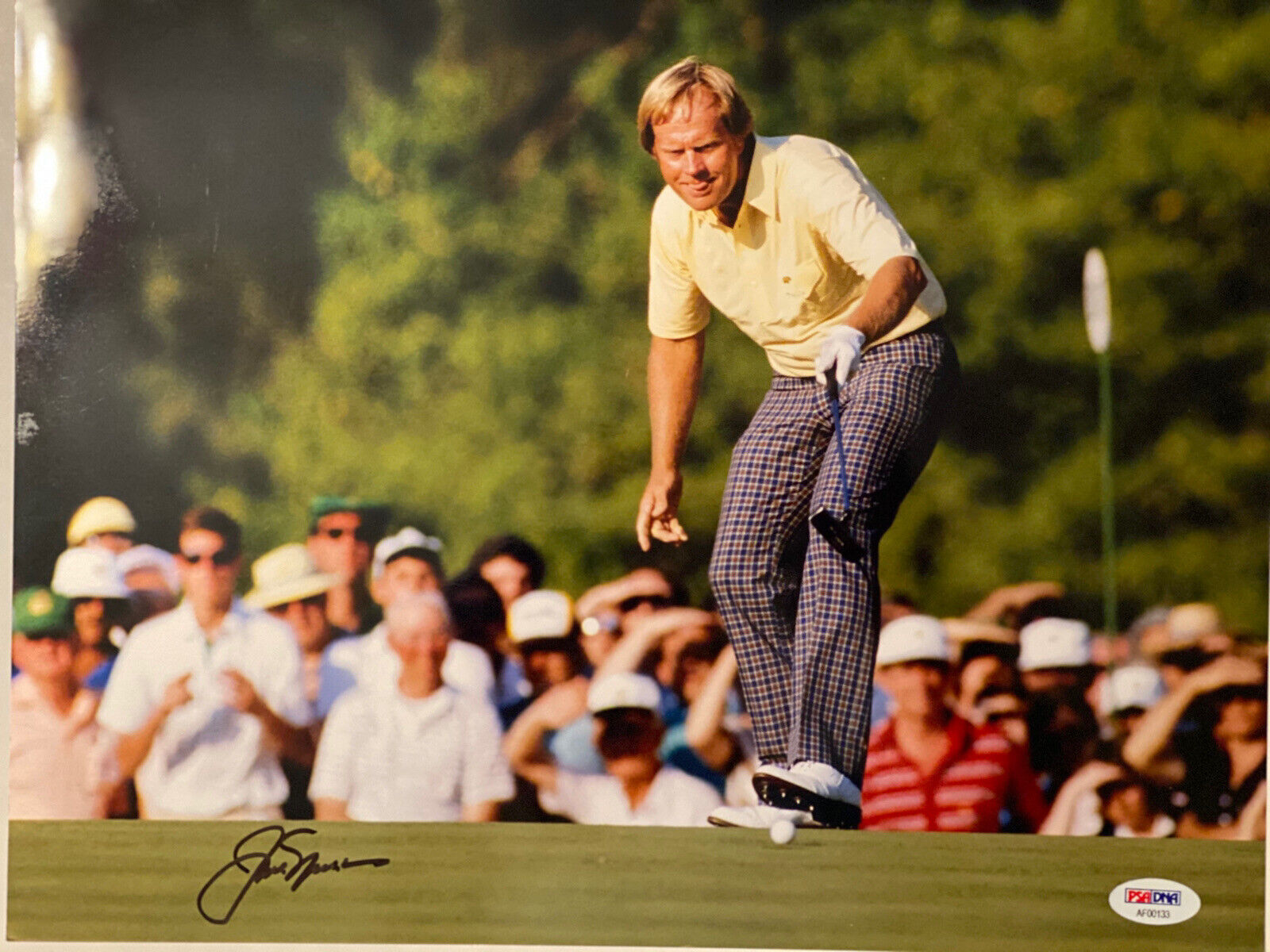 Jack Nicklaus Autographed 11x14 Photo Poster painting PSA DNA Full Letter