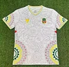 2025 Mali Special Edition White Football Shirt 1:1 Thai Quality