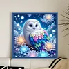 (Counted/Stamped)Flower Owl-11CT Cross Stitch 40*40cm/15.75*15.75in