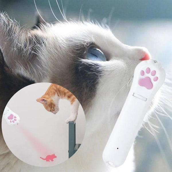 Cat Teaser Toy