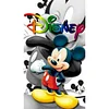 Disney Mickey - runder Bohrer Diamantmalerei - 30 * 50cm
