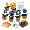 Flower Pot Crochet Starter Kits with Step-by-Step Video Tutorials, Hanging Potted Plants Knitting Starter Pack for Beginners Decoration