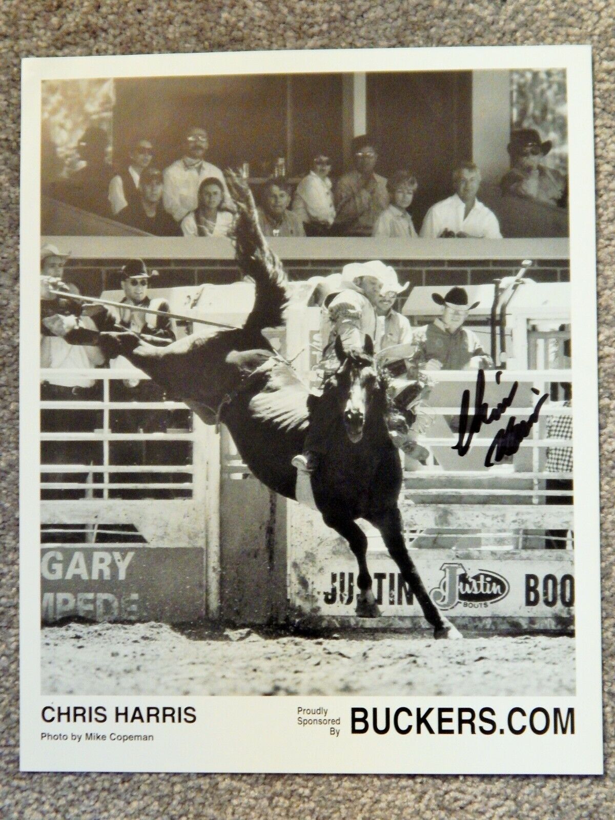 CHRIS HARRIS BAREBACK RODEO CHAMPION PERSONAL AUTOGRAPHED ORIGINAL Photo Poster painting