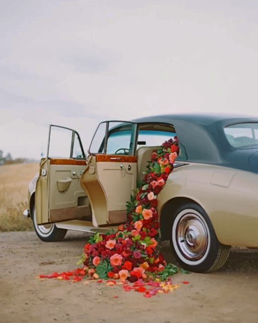 

Red Flowers In A Classic Car – Paint By Numbers - 40*50CM, 501 Original