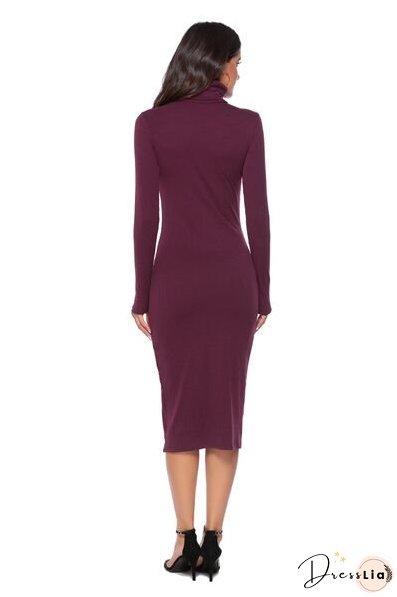 Ribbed Turtleneck Long Sleeve Dress