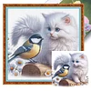 Pussycat And Robin-11CT Stamped Cross Stitch 40*40cm/15.75*15.75in tapestrymarket