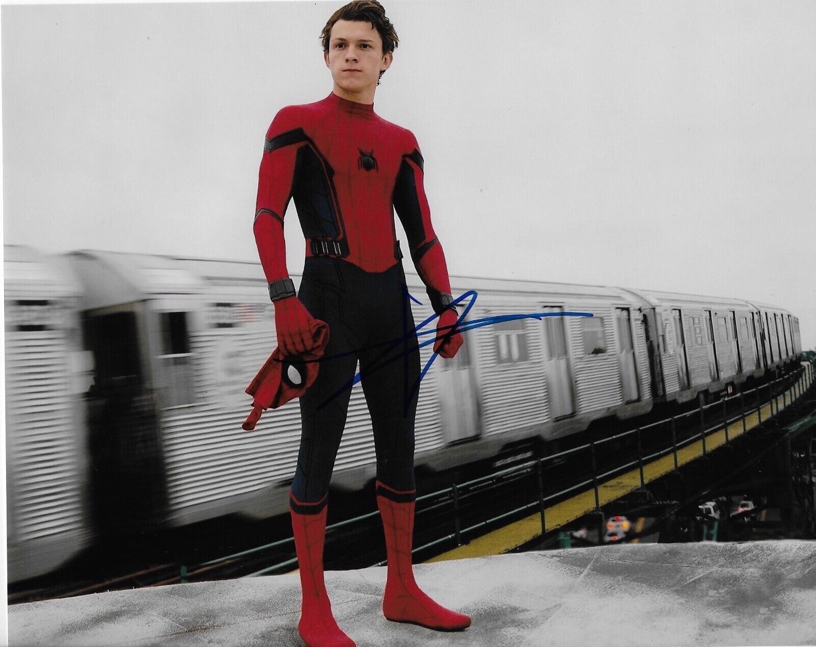 TOM HOLLAND 'SPIDERMAN AVENGERS' PETER PARKER SIGNED 8X10 PICTURE *COA 4