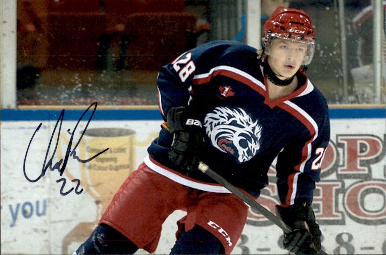 Chase (Scott's Son) Pearson SIGNED 4x6 Photo Poster painting CORNWALL COLTS / DETROIT RED WINGS