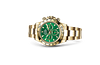 Rolex 116508 Daytona Cosmograph "Green Dial"