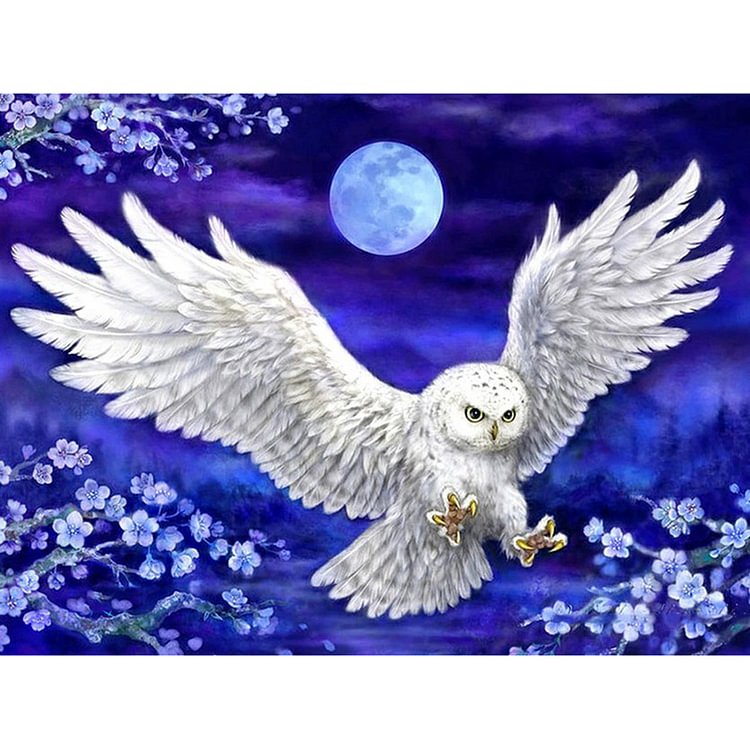 White Owl  Full Round Diamond Painting 40*30CM
