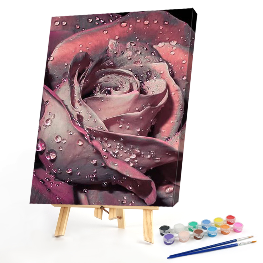 

40*50CM - Paint By Numbers - Special Flower, 501 Original