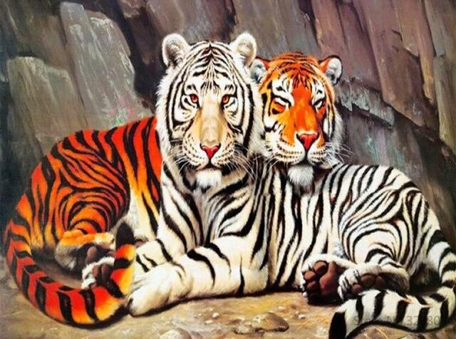 

Tiger Couple – Paint By Numbers - 40*50CM, 501 Original
