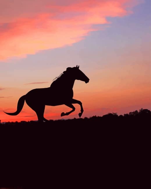 

Horse Silhouette Sunset – Paint By Numbers - 40*50CM, 501 Original